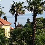 Kamelija