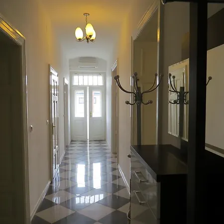 Kamelija * אופטיה