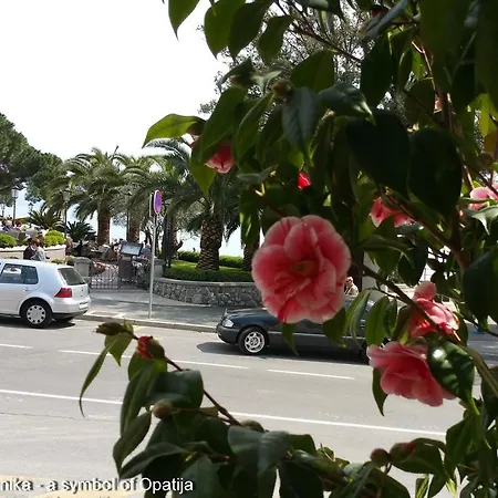 Kamelija Apartmán Opatija