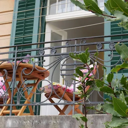 Apartmán Kamelija *