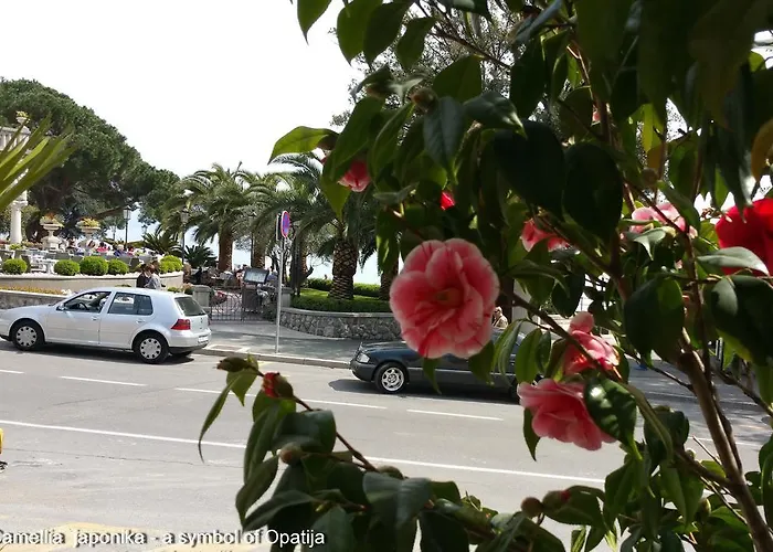 Kamelija Lägenhet Opatija